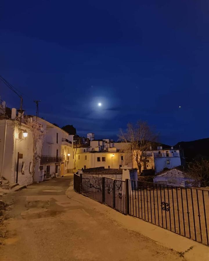 Castano Real *